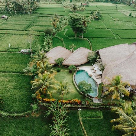 Villa Omah Padi Ubud Bagian luar foto