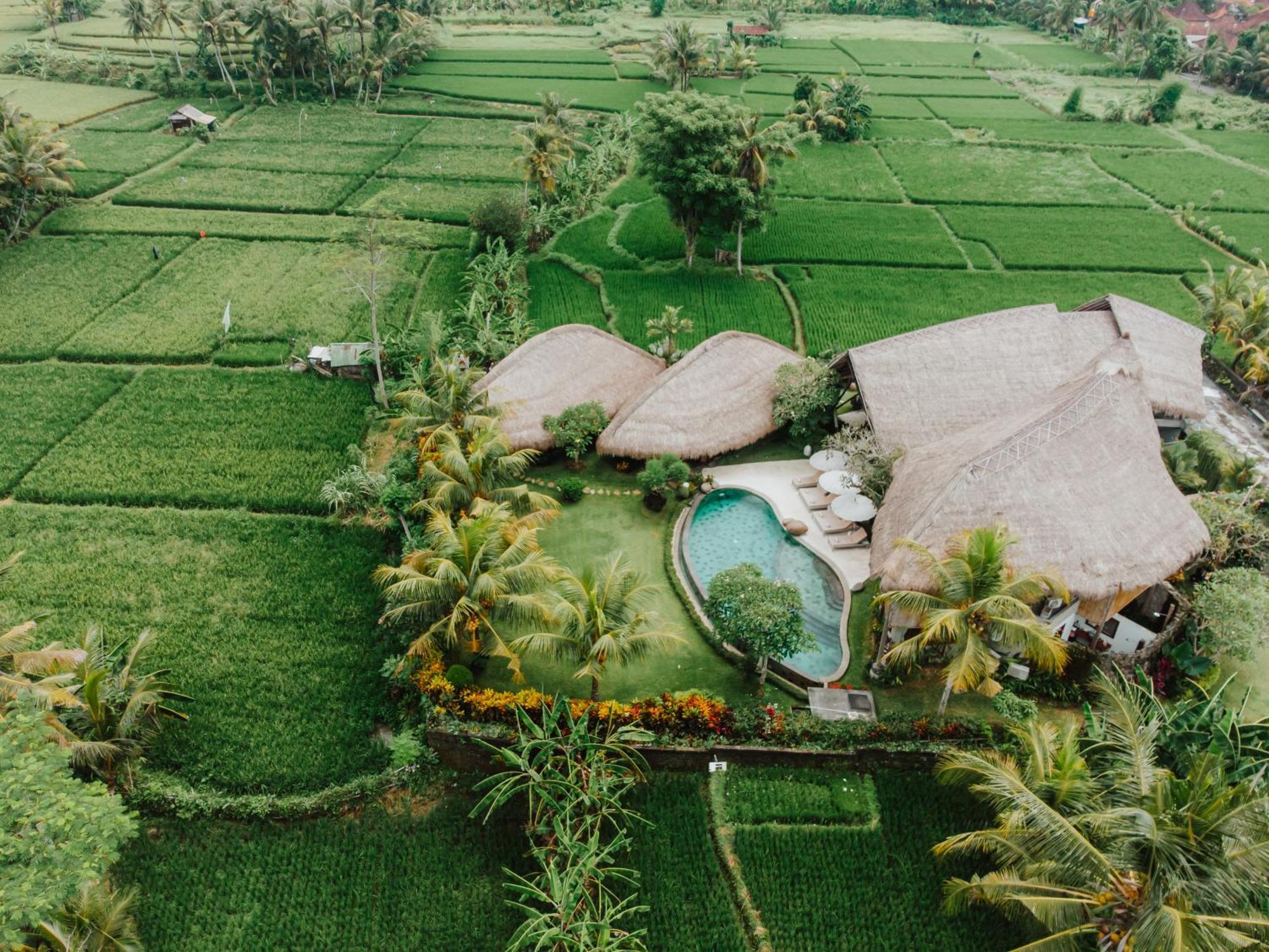 Villa Omah Padi Ubud Bagian luar foto