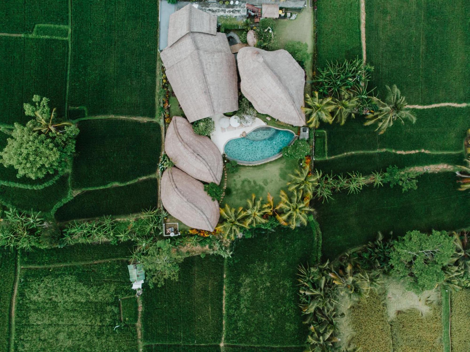 Villa Omah Padi Ubud Bagian luar foto